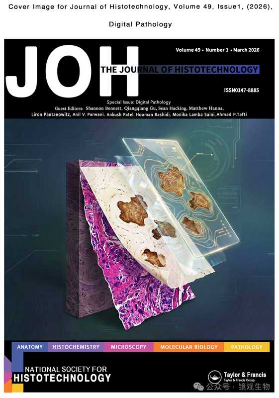  数以百计的科创项目如何脱颖而出？揭秘静安聚能湾的孵化密码 企业服务