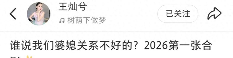 婆媳关系并非天敌：娱乐圈家庭真相的去伪存真