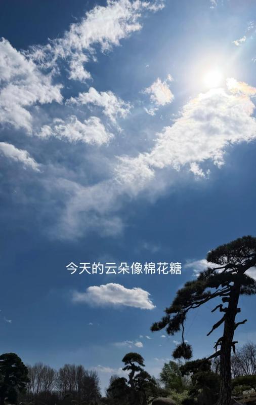  婆媳关系并非天敌：娱乐圈家庭真相的去伪存真 娱乐新闻