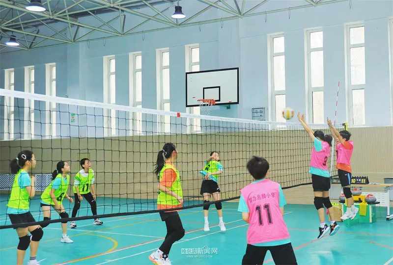  AI赋能校园体育：哈尔滨数据驱动的精准运动革命 体育新闻