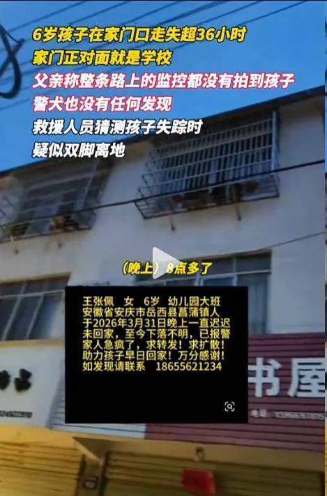  【技术侦查深度剖析】手机物证与监控盲区：6岁女童失踪案的侦破关键 新闻