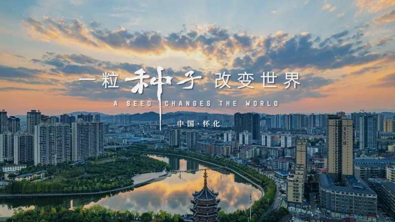  高庙遗址的考古发现：7800年前的文明密码如何重塑中华文明叙事 文化旅游