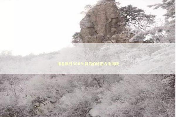 排名飙升300%背后的秘密方法揭晓