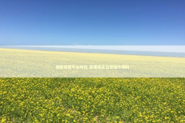 智能管理平台特性 显著提高日常操作便利 新闻