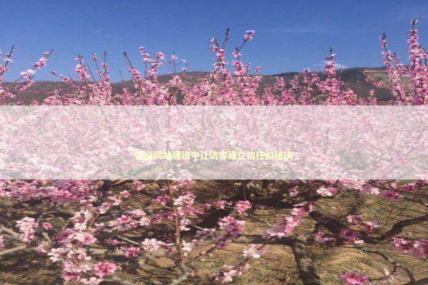 企业网站建设中让访客建立信任的秘诀 新闻