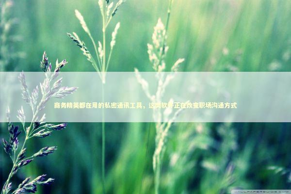 商务精英都在用的私密通讯工具，这类软件正在改变职场沟通方式 企业服务
