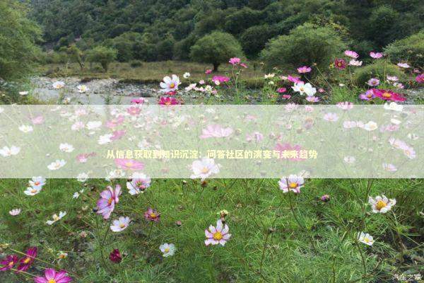 从信息获取到知识沉淀：问答社区的演变与未来趋势 IT技术